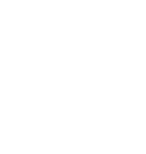 logo sochaczew